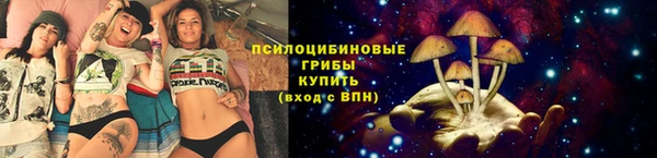 сатива Армянск