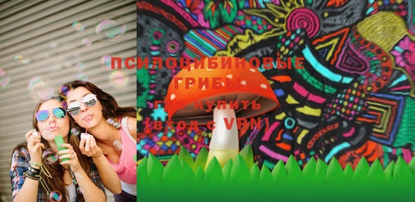 прущие грибы Арсеньев