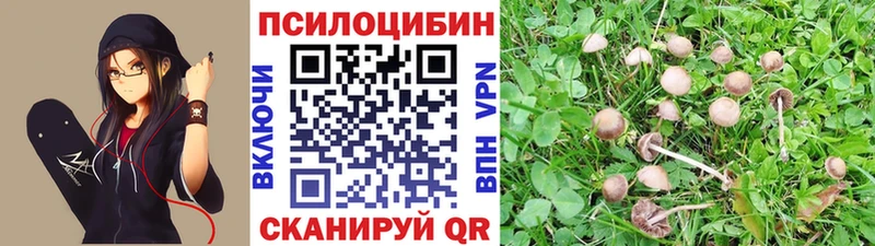 Галлюциногенные грибы мицелий  Купить  Ува 